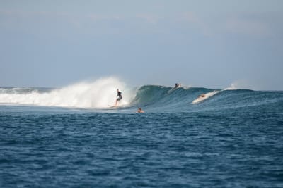 DSC_0473.JPG