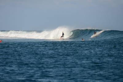 DSC_0474.JPG