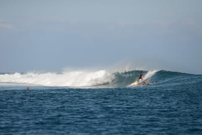 DSC_0475.JPG