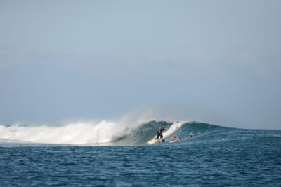 DSC_0476.JPG