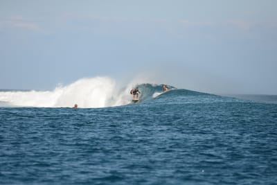 DSC_0477.JPG