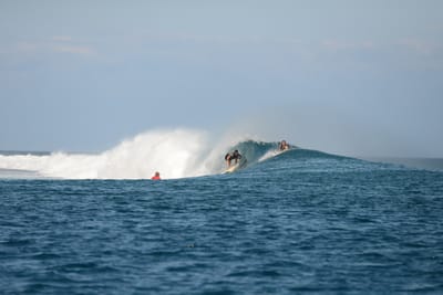 DSC_0478.JPG