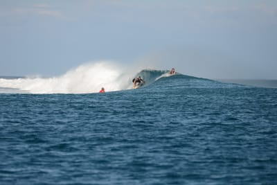 DSC_0479.JPG