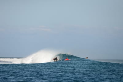 DSC_0481.JPG