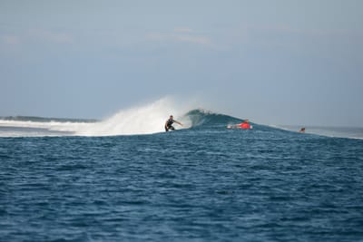 DSC_0483.JPG