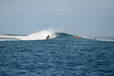 DSC_0484.JPG