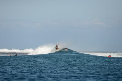 DSC_0485.JPG