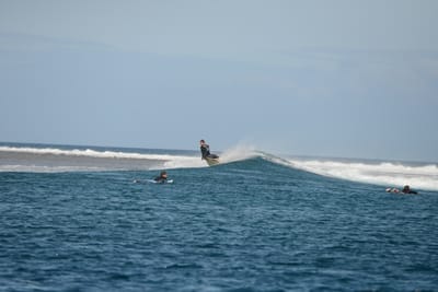 DSC_0486.JPG