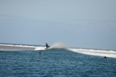 DSC_0487.JPG