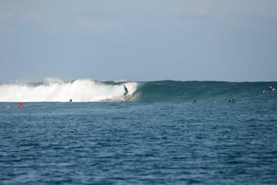 DSC_0488.JPG