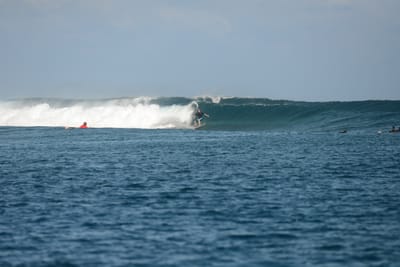 DSC_0489.JPG