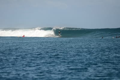 DSC_0490.JPG