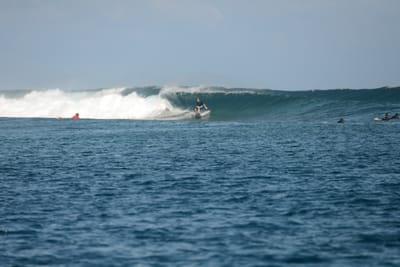 DSC_0491.JPG