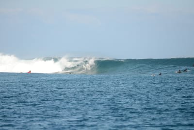 DSC_0492.JPG