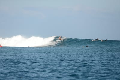 DSC_0493.JPG