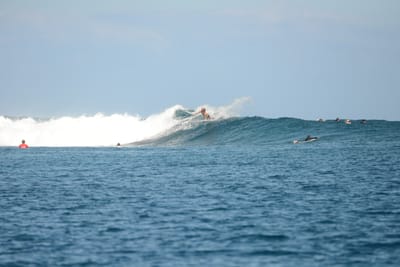 DSC_0495.JPG