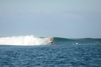 DSC_0496.JPG