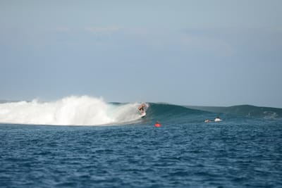 DSC_0497.JPG