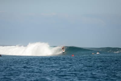 DSC_0498.JPG