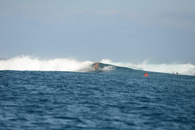 DSC_0499.JPG