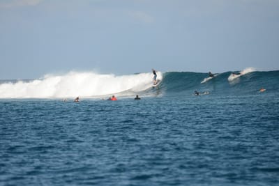 DSC_0500.JPG