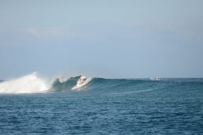 DSC_0501.JPG