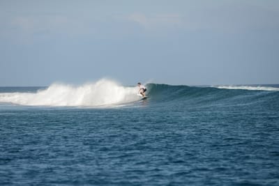 DSC_0502.JPG