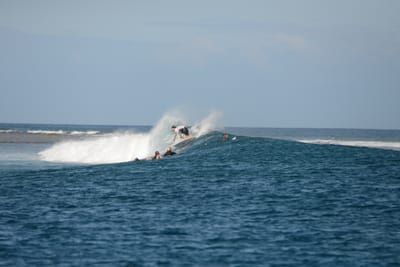 DSC_0503.JPG