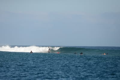 DSC_0504.JPG