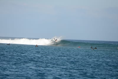 DSC_0505.JPG
