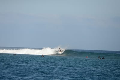 DSC_0506.JPG