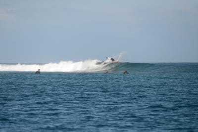DSC_0508.JPG