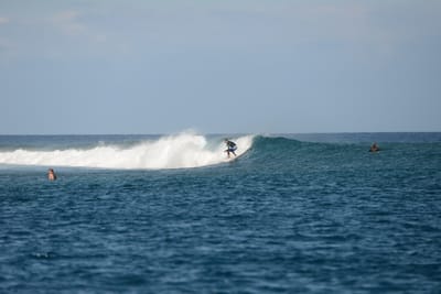 DSC_0509.JPG