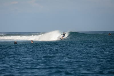 DSC_0510.JPG