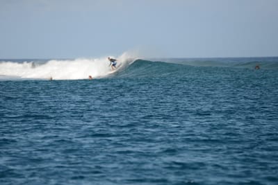 DSC_0511.JPG