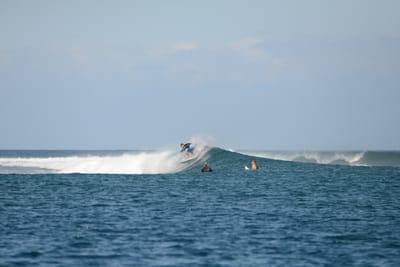 DSC_0512.JPG