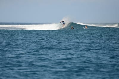 DSC_0513.JPG