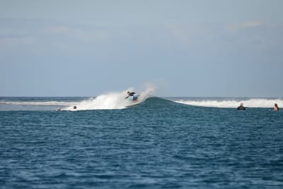 DSC_0515.JPG