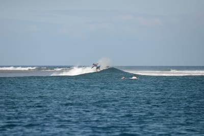 DSC_0516.JPG