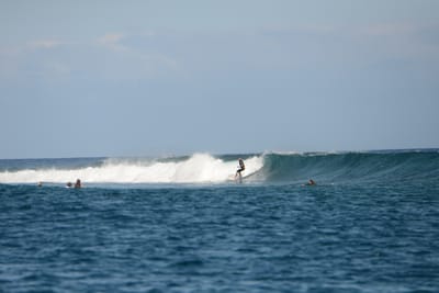 DSC_0517.JPG