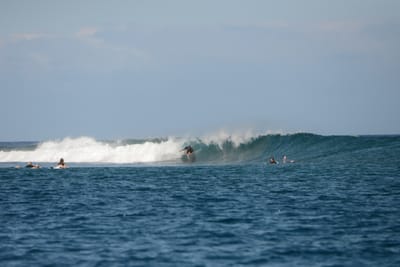 DSC_0518.JPG
