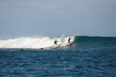 DSC_0519.JPG