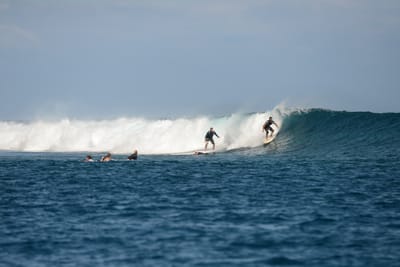 DSC_0520.JPG