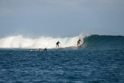 DSC_0521.JPG