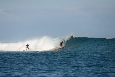 DSC_0522.JPG