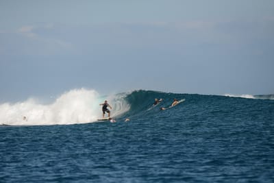 DSC_0523.JPG