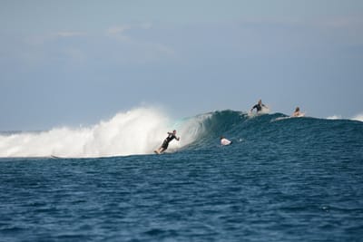 DSC_0524.JPG