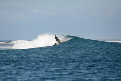 DSC_0526.JPG