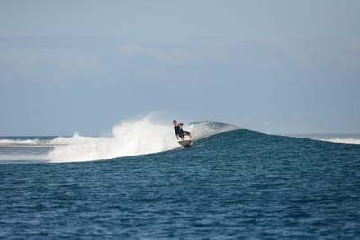 DSC_0527.JPG