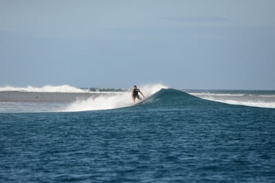DSC_0528.JPG